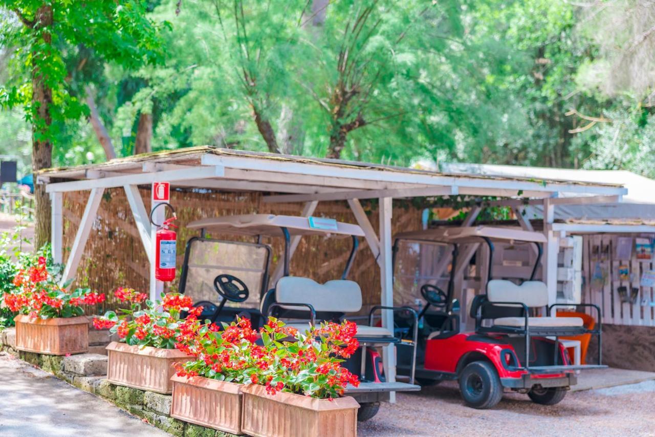 Le Pianacce Camping Village Castagneto Carducci Εξωτερικό φωτογραφία
